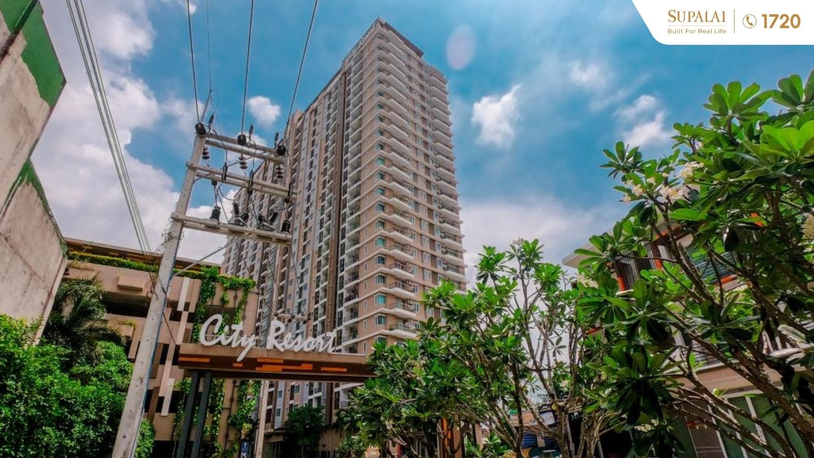 ปก Blog จิจิ.jpg